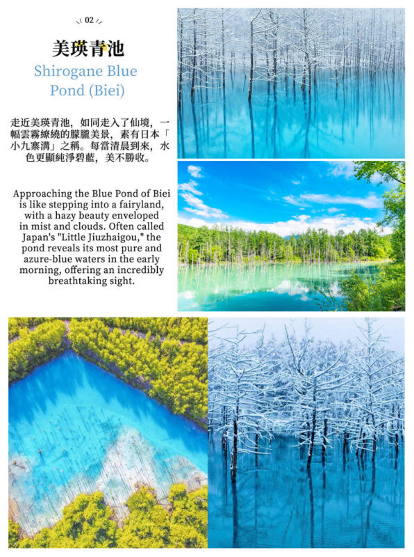 Hokkaido Day Trip: Asahiyama Zoo (Including Admission) + Shikisai-no-oka + Biei Instagram-Famous Trees/Blue Pond & Shirahige Falls (Other Seasons) + Furano Ningle Terrace | Departure from Sapporo - Complimentary Hot/Cold Drink - Ningle Terrace: little cabins, a short forest stroll