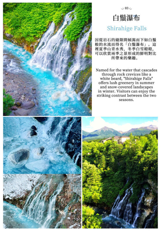 Hokkaido Day Trip: Asahiyama Zoo (Including Admission) + Shikisai-no-oka + Biei Instagram-Famous Trees/Blue Pond & Shirahige Falls (Other Seasons) + Furano Ningle Terrace | Departure from Sapporo - Complimentary Hot/Cold Drink - Winter has its own route, not just snowy scenery
