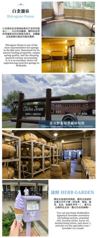 Hokkaido Day Trip: Asahiyama Zoo (Including Admission) + Shikisai-no-oka + Biei Instagram-Famous Trees/Blue Pond & Shirahige Falls (Other Seasons) + Furano Ningle Terrace | Departure from Sapporo - Complimentary Hot/Cold Drink - Guides, language and the feel of the group