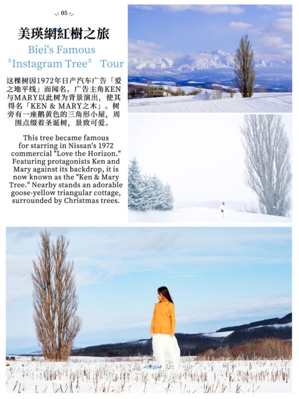 Hokkaido Day Trip: Asahiyama Zoo (Including Admission) + Shikisai-no-oka + Biei Instagram-Famous Trees/Blue Pond & Shirahige Falls (Other Seasons) + Furano Ningle Terrace | Departure from Sapporo - Complimentary Hot/Cold Drink - Does the price deliver good value?