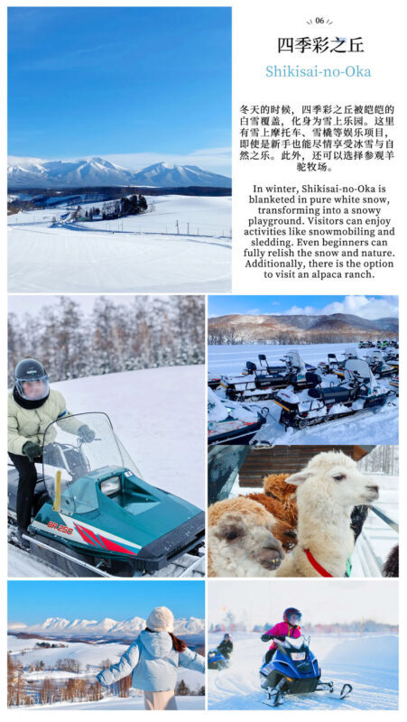 Hokkaido Day Trip: Asahiyama Zoo (Including Admission) + Shikisai-no-oka + Biei Instagram-Famous Trees/Blue Pond & Shirahige Falls (Other Seasons) + Furano Ningle Terrace | Departure from Sapporo - Complimentary Hot/Cold Drink - Who should book this Hokkaido day trip?
