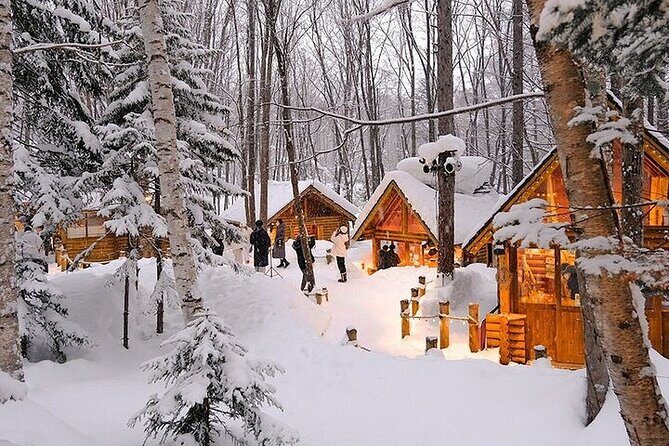 Hokkaido Day Trip From Sapporo, Asahiyama Zoo to Ningle Terrace - Who Will Love This Tour?