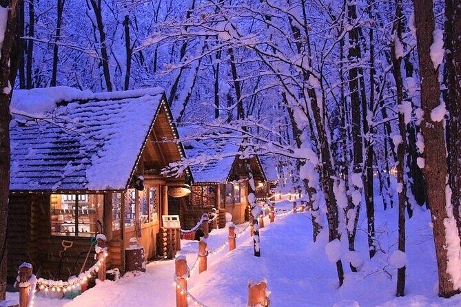 Hokkaido Day Trip From Sapporo, Asahiyama Zoo to Ningle Terrace - FAQ