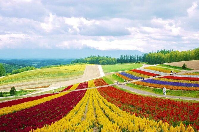 Hokkaido Farm Tomita Shikisai Hill Waterfall& Blue Pond Day Tour - A Closer Look at the Itinerary