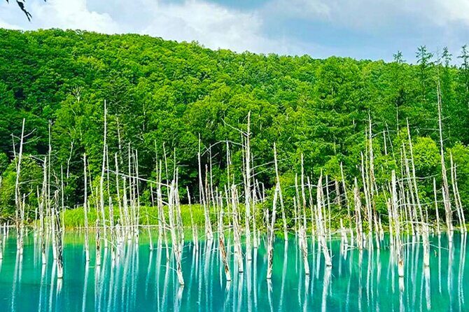 Hokkaido Farm Tomita Shikisai Hill Waterfall& Blue Pond Day Tour - FAQ