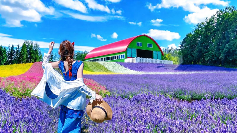 Hokkaido Flower Sea Double Route Day Tour: Biei Blue Pond x Furano x Shikisai no Oka (Free Ticket) | Patchwork Road Scenic View | Depart from Sapporo - Two routes, two different days in the countryside