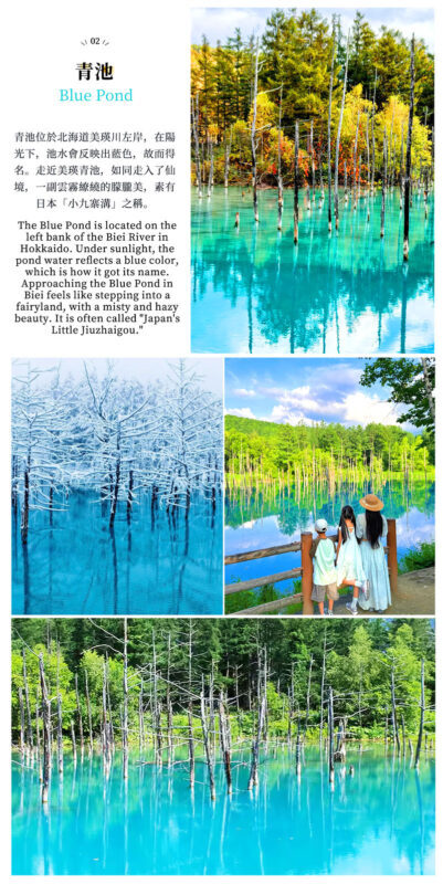 Hokkaido Flower Sea Double Route Day Tour: Biei Blue Pond x Furano x Shikisai no Oka (Free Ticket) | Patchwork Road Scenic View | Depart from Sapporo - Shikisai-no-Oka puts the flowers within reach