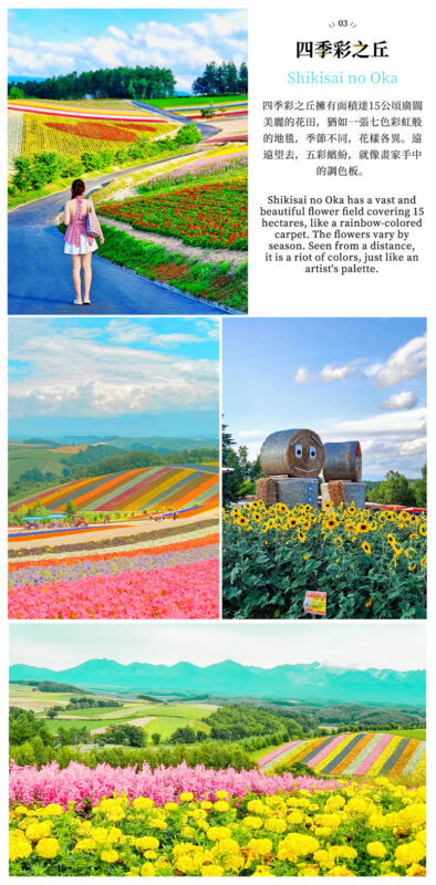 Hokkaido Flower Sea Double Route Day Tour: Biei Blue Pond x Furano x Shikisai no Oka (Free Ticket) | Patchwork Road Scenic View | Depart from Sapporo - The Blue Pond rewards a quick look
