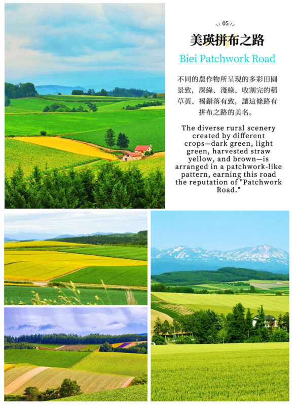 Hokkaido Flower Sea Double Route Day Tour: Biei Blue Pond x Furano x Shikisai no Oka (Free Ticket) | Patchwork Road Scenic View | Depart from Sapporo - Herb Garden Furano is the lunch decision