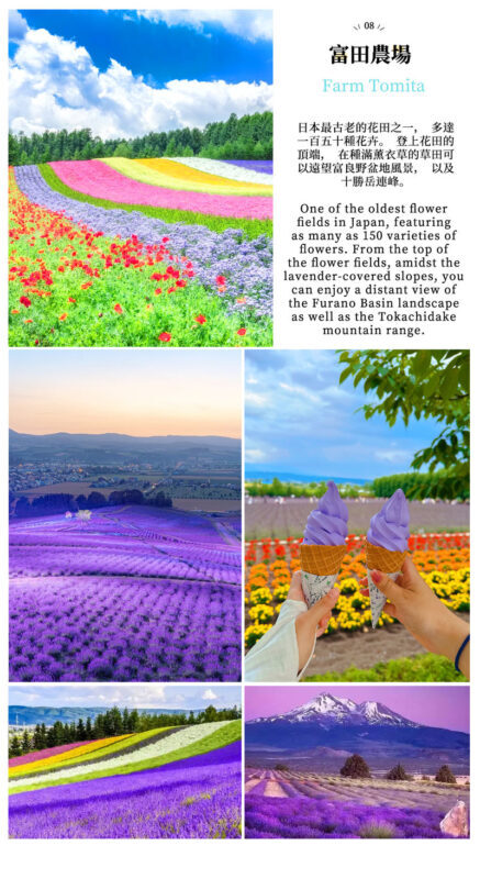 Hokkaido Flower Sea Double Route Day Tour: Biei Blue Pond x Furano x Shikisai no Oka (Free Ticket) | Patchwork Road Scenic View | Depart from Sapporo - What the fare buys, and what it does not
