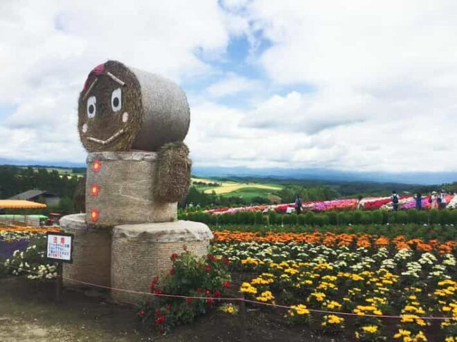 Hokkaido: Flower Sea, Pastoral, and Natural Scenery Day Tour - Inclusion and Transportation