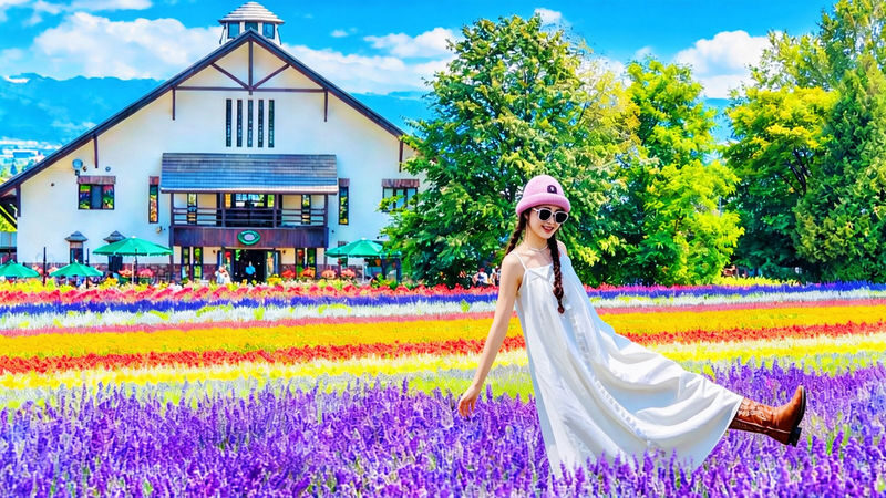 Hokkaido Flower Sea Pilgrimage | Patchwork Road, Shikisai-no-Oka, Blue Pond, Shirahige Waterfall, Farm Tomita Day Tour | Departing from Sapporo - What makes this day trip worthwhile