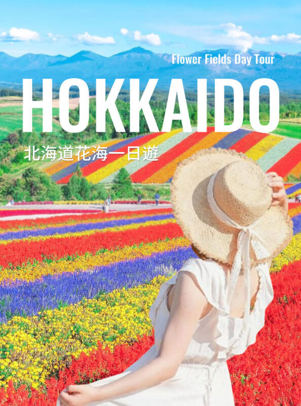 Hokkaido Flower Sea Tour: Blue Pond & Farm Tomita & Shikisai no Oka & Ningle Terrace One-Day Tour (Optional Buffet Lunch/All-you-can-eat Melon) - From Sapporo, a full day in Biei and Furano
