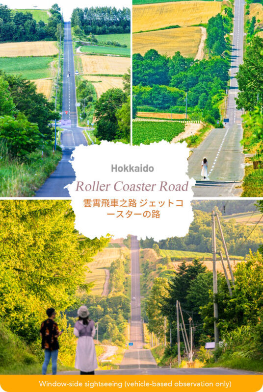 Hokkaido Flower Sea Tour: Blue Pond & Farm Tomita & Shikisai no Oka & Ningle Terrace One-Day Tour (Optional Buffet Lunch/All-you-can-eat Melon) - Shirogane Blue Pond, a short walk and a shifting color