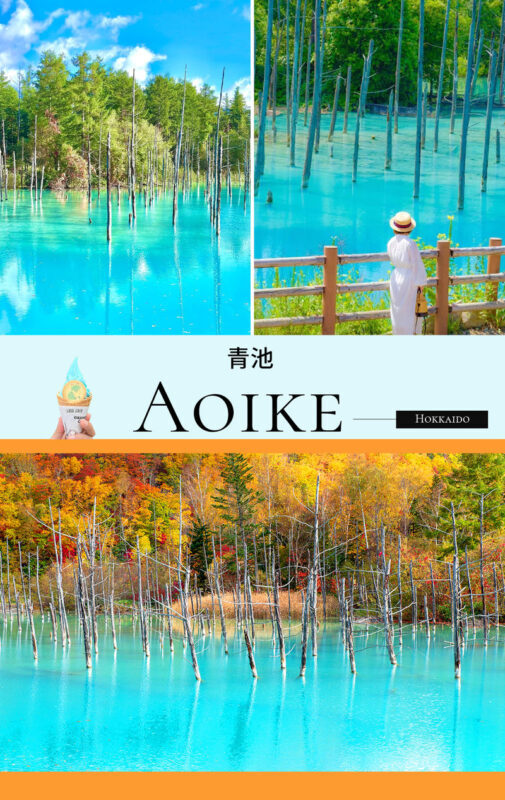 Hokkaido Flower Sea Tour: Blue Pond & Farm Tomita & Shikisai no Oka & Ningle Terrace One-Day Tour (Optional Buffet Lunch/All-you-can-eat Melon) - Lunch in Furano, with the package details checked