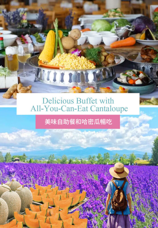Hokkaido Flower Sea Tour: Blue Pond & Farm Tomita & Shikisai no Oka & Ningle Terrace One-Day Tour (Optional Buffet Lunch/All-you-can-eat Melon) - Shikisai-no-Oka, the day’s most generous flower stop