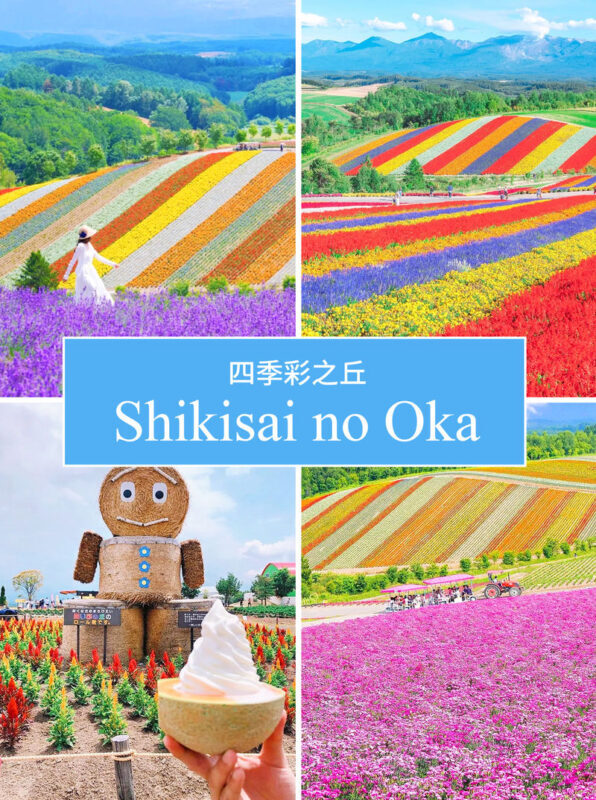 Hokkaido Flower Sea Tour: Blue Pond & Farm Tomita & Shikisai no Oka & Ningle Terrace One-Day Tour (Optional Buffet Lunch/All-you-can-eat Melon) - Farm Tomita, a lavender name with a short visit