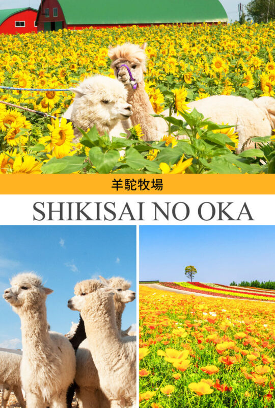 Hokkaido Flower Sea Tour: Blue Pond & Farm Tomita & Shikisai no Oka & Ningle Terrace One-Day Tour (Optional Buffet Lunch/All-you-can-eat Melon) - Ningle Terrace, craft cabins among the trees