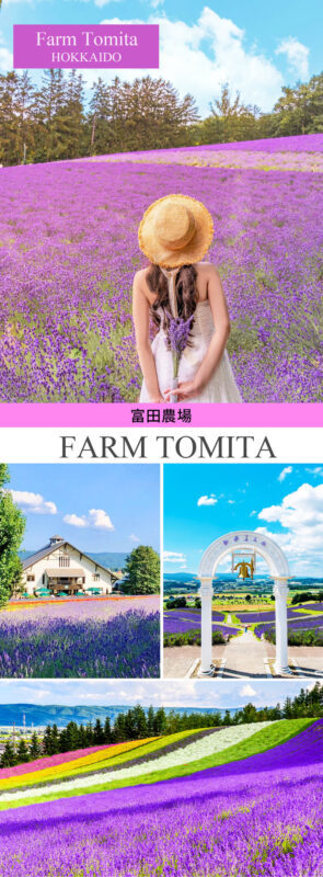Hokkaido Flower Sea Tour: Blue Pond & Farm Tomita & Shikisai no Oka & Ningle Terrace One-Day Tour (Optional Buffet Lunch/All-you-can-eat Melon) - Is the $63.19 starting price good value?