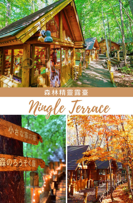 Hokkaido Flower Sea Tour: Blue Pond & Farm Tomita & Shikisai no Oka & Ningle Terrace One-Day Tour (Optional Buffet Lunch/All-you-can-eat Melon) - What to know before you set out