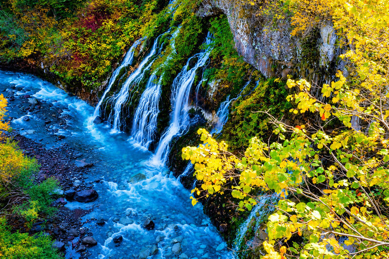 Hokkaido Four Seasons One-Day Tour: Summer Hokuryu-cho Sunflowers, Autumn Asahidake Autumn Leaves, Winter Biei Furano Illumination - Asahidake: early autumn color, with a paid ropeway