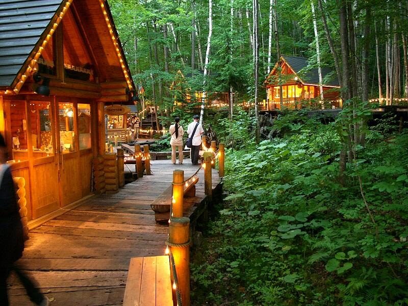 Hokkaido Four Seasons One-Day Tour: Summer Hokuryu-cho Sunflowers, Autumn Asahidake Autumn Leaves, Winter Biei Furano Illumination - Zoo, sake museum and Biei: a fuller autumn itinerary