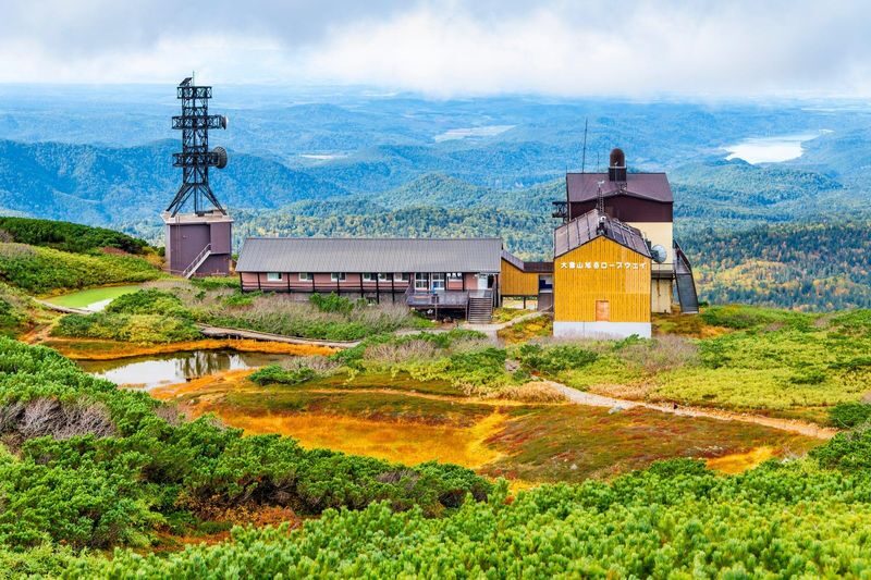 Hokkaido Four Seasons One-Day Tour: Summer Hokuryu-cho Sunflowers, Autumn Asahidake Autumn Leaves, Winter Biei Furano Illumination - Timing, comfort and small-print cautions