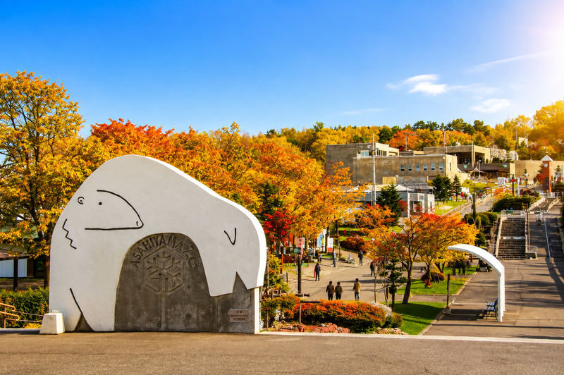 Hokkaido Four Seasons One-Day Tour: Summer Hokuryu-cho Sunflowers, Autumn Asahidake Autumn Leaves, Winter Biei Furano Illumination - Who should book this Hokkaido day tour?
