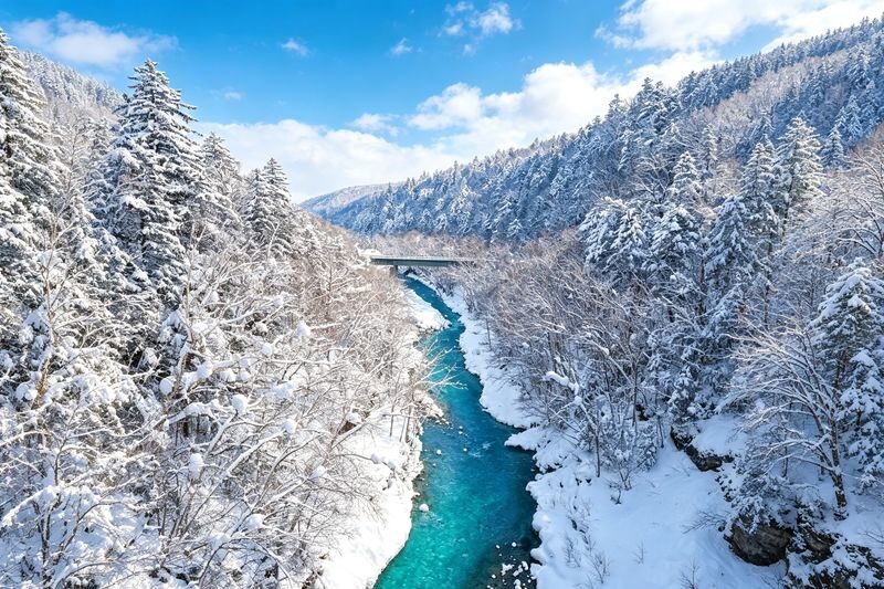 Hokkaido Fun Check-in & Furano Flower Fields Dual Route Options | Optional Snowmobile Experience | Departs from Sapporo (Mandarin and English Service) - A full day on the road, with limited time at each stop