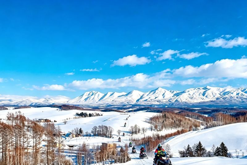 Hokkaido Fun Check-in & Furano Flower Fields Dual Route Options | Optional Snowmobile Experience | Departs from Sapporo (Mandarin and English Service) - What the winter snowmobile option does, and does not, promise