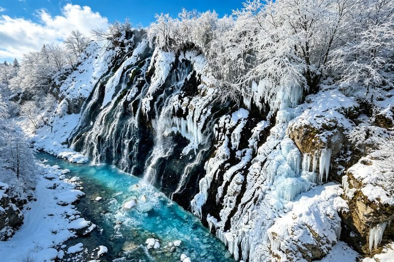 Hokkaido Fun Check-in & Furano Flower Fields Dual Route Options | Optional Snowmobile Experience | Departs from Sapporo (Mandarin and English Service) - Is the price good value?