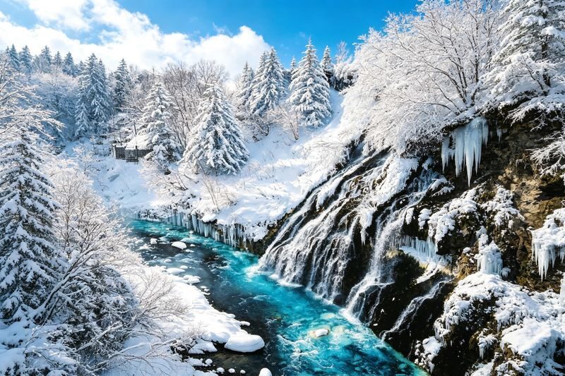 Hokkaido Fun Check-in & Furano Flower Fields Dual Route Options | Optional Snowmobile Experience | Departs from Sapporo (Mandarin and English Service) - Who should book this tour?