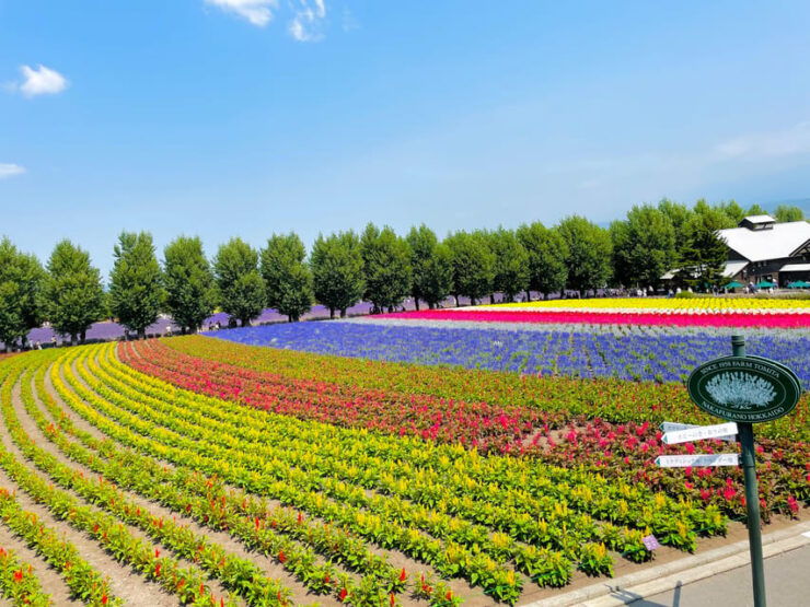 Hokkaido Furano Tomita Farm Tour With Melon Buffet Option - Good To Know