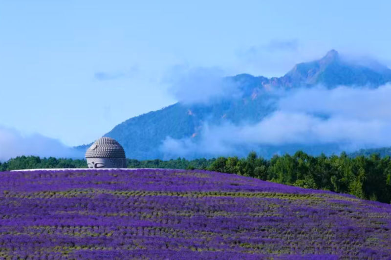 Hokkaido Hill Buddha, Noboribetsu Jigokudani, and Lake Toya Small Group Tour | Departing from Sapporo | Driver-Guide Service with Optional Hotel Pickup and Drop-off - The Hill of the Buddha: a cultural first stop