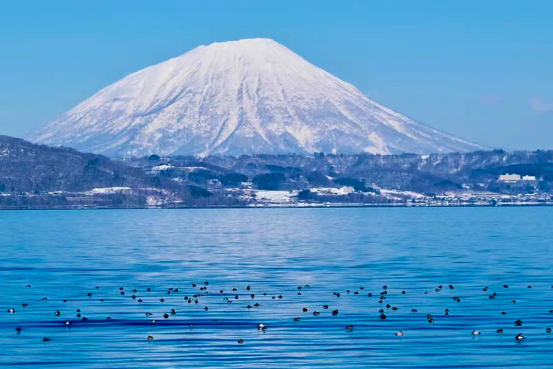 Hokkaido Hill Buddha, Noboribetsu Jigokudani, and Lake Toya Small Group Tour | Departing from Sapporo | Driver-Guide Service with Optional Hotel Pickup and Drop-off - Who should book this Sapporo day trip?