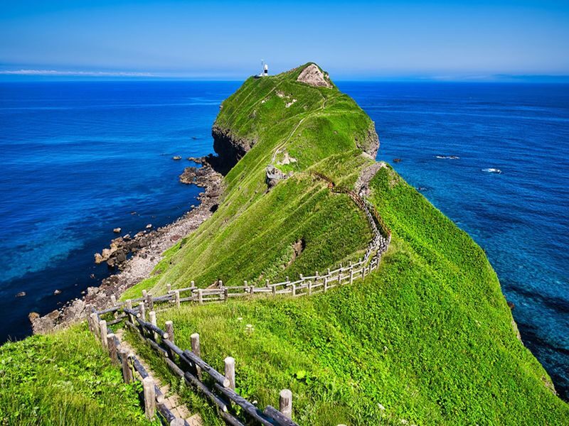 Hokkaido, Japan: Sapporo, Cape Kamui, Otaru, and Shiroi Koibito Park One-Day Tour - The day at a glance