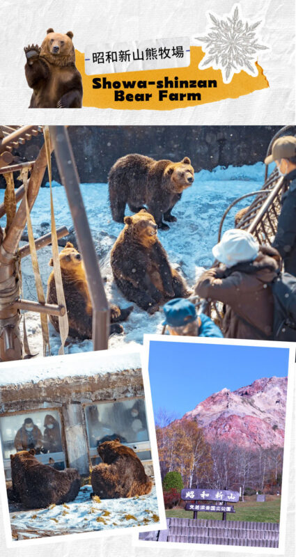Hokkaido: Lake Hill Farm Snowmobile Experience (with free ice cream) & Noboribetsu Hell Valley & Showa-shinzan Bear Ranch Day Trip - Lake Toya: snowmobile ride or Sairo Observatory