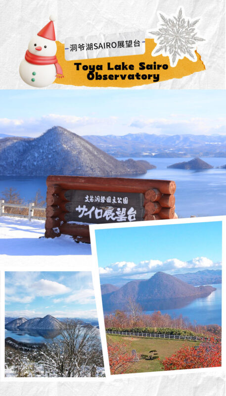 Hokkaido: Lake Hill Farm Snowmobile Experience (with free ice cream) & Noboribetsu Hell Valley & Showa-shinzan Bear Ranch Day Trip - Who should book this winter day trip?