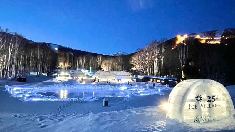 Hokkaido: Lake Shikotsu Ice Festival & Hoshino Tomamu Ice Village Day Trip | Depart from Sapporo - The day at a glance
