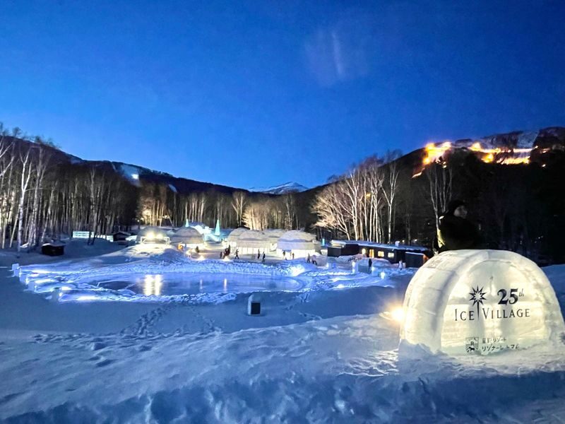Hokkaido: Lake Shikotsu Ice Festival & Hoshino Tomamu Ice Village Day Trip | Depart from Sapporo - Is $89.25 good value?