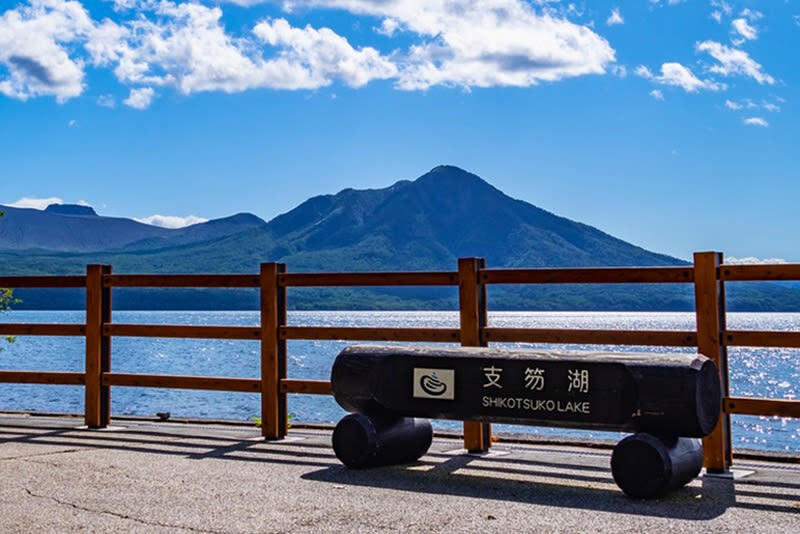 Hokkaido Lake Toya Fireworks Festival, Lake Shikotsu & Bear Ranch & Observation Deck Day Tour (boat cruise optional) - Lake Hill Farm offers a short dairy break