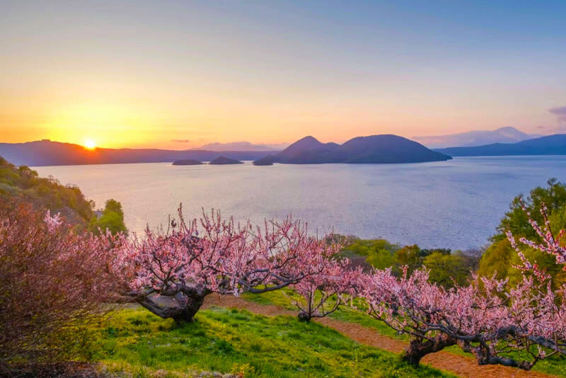 Hokkaido Lake Toya Fireworks Festival, Lake Shikotsu & Bear Ranch & Observation Deck Day Tour (boat cruise optional) - Who will enjoy this day most