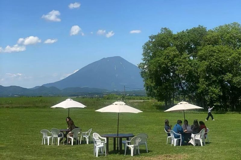 Hokkaido | Lake Toya Fireworks Festival & Showa-shinzan & Lake Hill Farm Day Trip | Departing from Sapporo - Showa-shinzan and its volcanic past