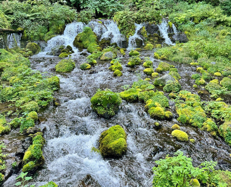 Hokkaido | Lake Toya Fireworks Festival & Showa-shinzan & Lake Hill Farm Day Trip | Departing from Sapporo - An hour at Toyako Onsen