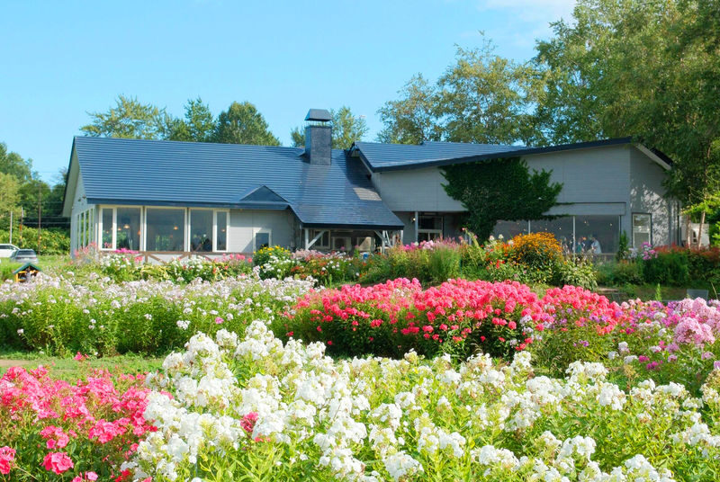 Hokkaido | Lake Toya Fireworks Festival & Showa-shinzan & Lake Hill Farm Day Trip | Departing from Sapporo - Who should book this Lake Toya day trip?