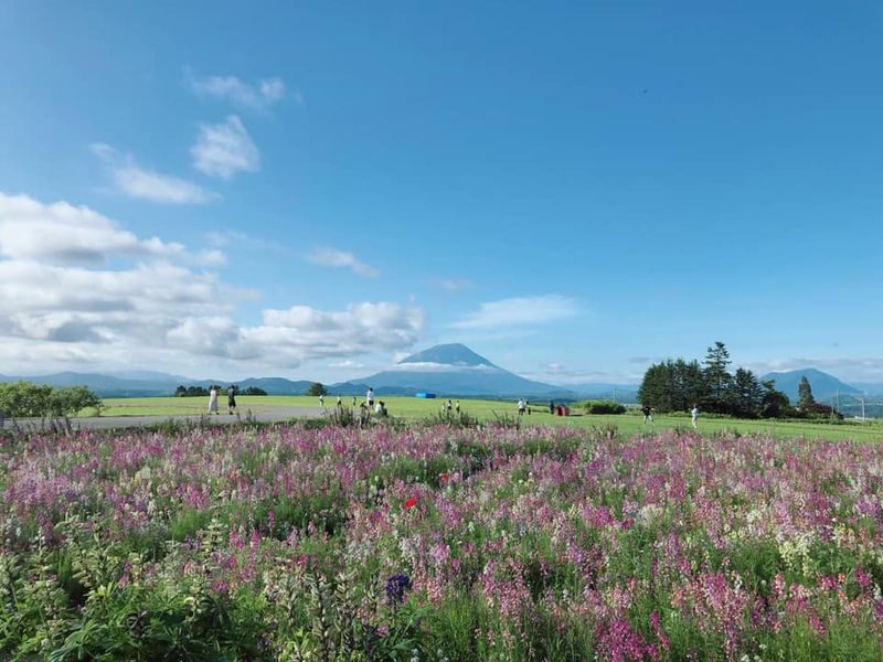 Hokkaido | Lake Toya, Noboribetsu Jigokudani (Hell Valley), Mount Usu Day Trip with Gourmet Food & Stunning Views | Depart from Sapporo - Silo Observation Deck: Lake Toya from above