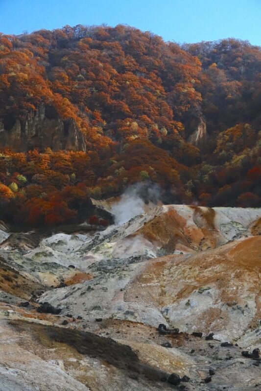 Hokkaido | Lake Toya, Noboribetsu Jigokudani (Hell Valley), Mount Usu Day Trip with Gourmet Food & Stunning Views | Depart from Sapporo - Useful details before you book