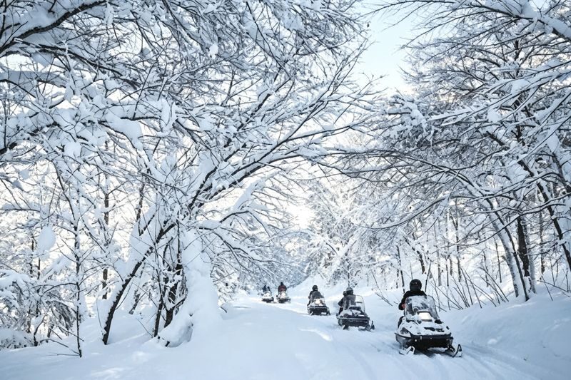 Hokkaido: Lake Toya Snowmobile & Noboribetsu Hell Valley & Bear Ranch & Lake Hill Farm Day Tour - Lake Hill Farm for a slower half hour
