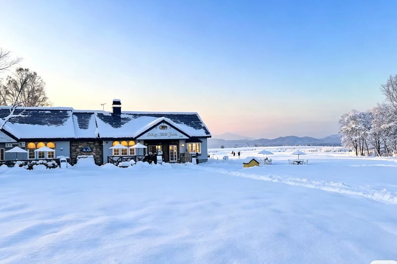Hokkaido: Lake Toya Snowmobile & Noboribetsu Hell Valley & Bear Ranch & Lake Hill Farm Day Tour - What to check before booking