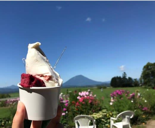 Hokkaido Mount Yotei, Lake Toya, Noboribetsu Nature Day Tour (Small Group Transfer) - A full day in a small vehicle